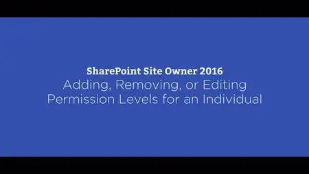 SharePoint 2016 Site Owner