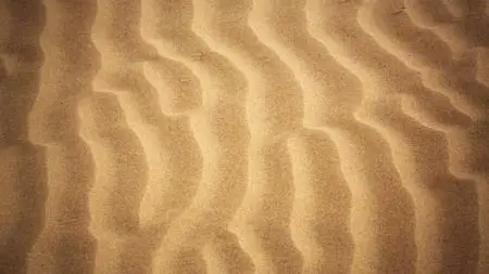 Thar Indias Great Desert (2017)