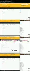 Ethical Hacking + Bug Bounty in IT Security (Updated)