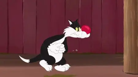 Looney Tunes Cartoons S01E90