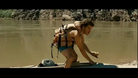 Into the Wild (2007) [Collector's Edition]