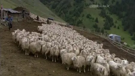 BBC Soillse - The Last Shepherd (2011)