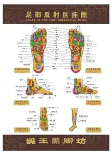 Foot Vector