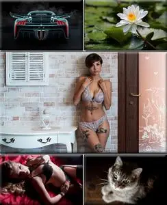 LIFEstyle News MiXture Images. Wallpapers Part (1556)