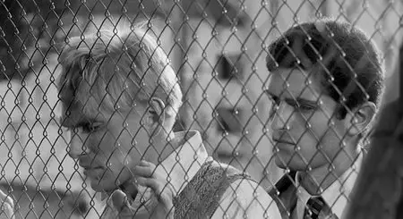 Before The Revolution (1964)