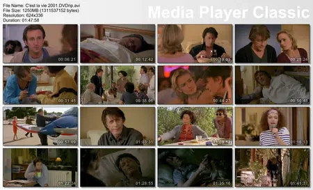 C'est la vie (2001) [Re-UP]