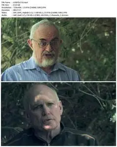 The UFO Conclusion (2016)