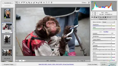Flux de production d’images avec Photoshop (Repost)