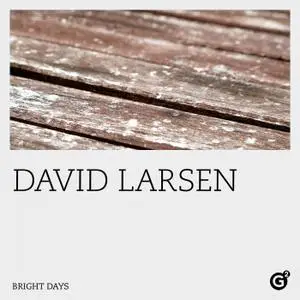 David Larsen - Bright Days (2022) [Official Digital Download 24/96]