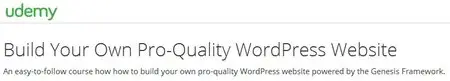 Build Your Own Pro-Quality WordPress Website