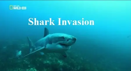 National Geographic - Shark Invasion (2015)