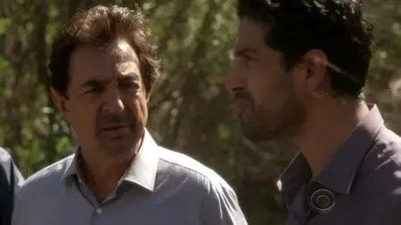 Criminal Minds S12E08