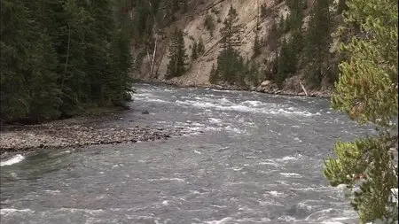 Scenic National Parks Yellowstone (2009)