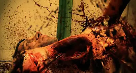 The Summer of Massacre (2011)