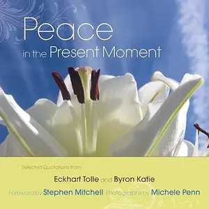 Peace in the Present Moment