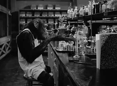 Monkey Business (1952)