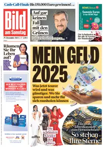 BILD AM SONNTAG - 29 Dezember 2024