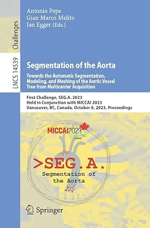 Segmentation of the Aorta. Towards the Automatic Segmentation, Modeling, and Meshing