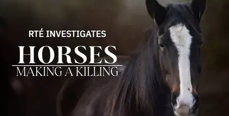 RTÉ Investigates: Horses - Making a Killing (2024)