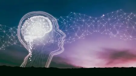 Neuroplasticity: Mastering Nervous System Regulation