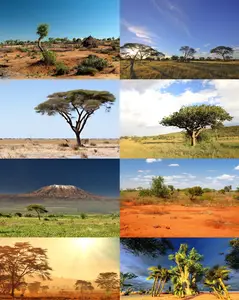 Collection African Landscape