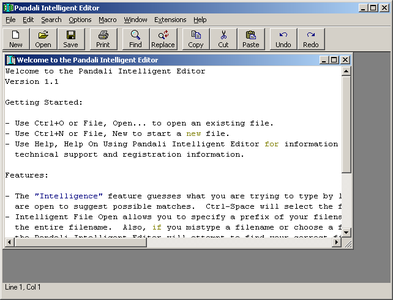 Pandali Intelligent Editor ver.1.1