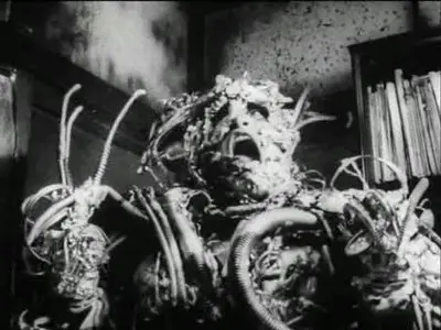Tetsuo, the Iron Man / Тэцуо - железный человек (1989)