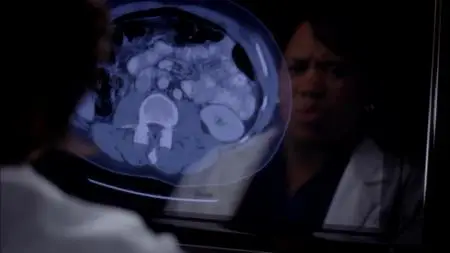 Grey's Anatomy S08E23
