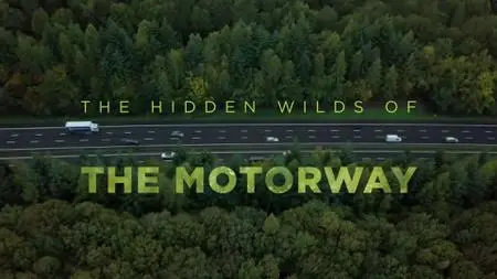 BBC - The Hidden Wilds of the Motorway (2021)
