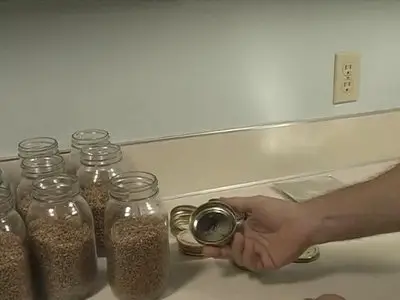 Let's Grow Mushrooms! (Instructional Video in 2DVD's)