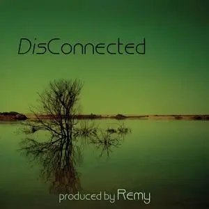 Remy Stroomer - DisConnected (2003)