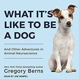 What It's Like to Be a Dog: And Other Adventures in Animal Neuroscience (Audiobook)