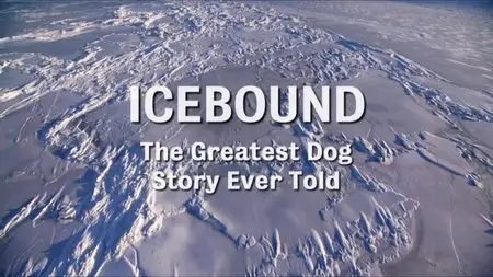BBC - Icebound: The Greatest Dog Story Ever Told (2014)