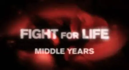 Fight For Life Part Five: The middle years