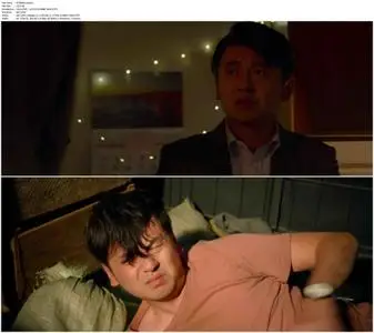 The Whistleblower (2019)