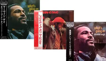 Marvin Gaye: Coolection (1971-1973)