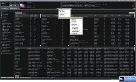 WinAmp 5.5 full beta