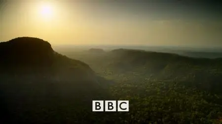 BBC - Dynasties Series 1: Tiger (2018)