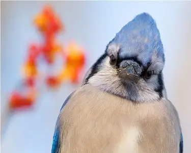 Фотограф Dmitry Mozzherin