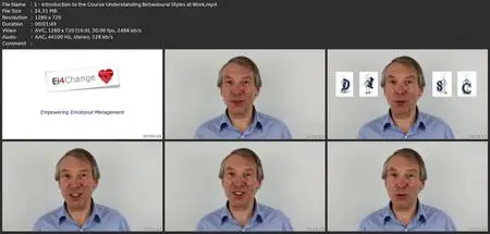 Personality: Understanding Disc Behavioural Styles At Work