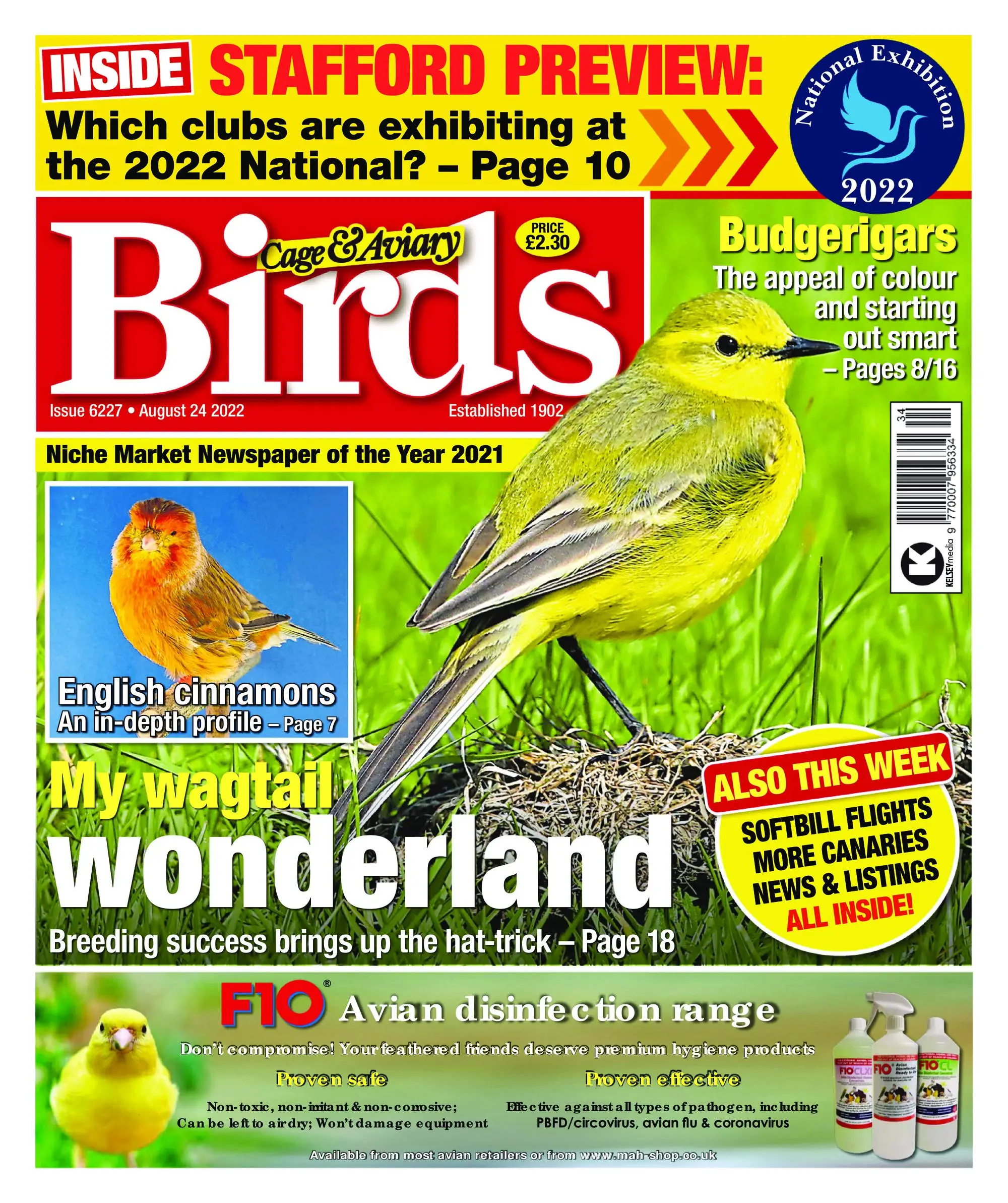 Cage & Aviary Birds – 24 August 2022