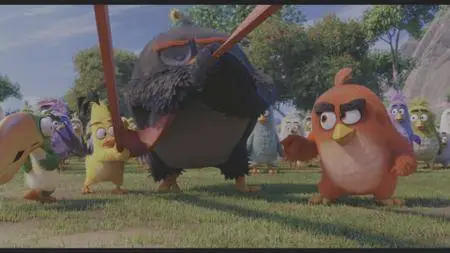 The Angry Birds Movie (2016)