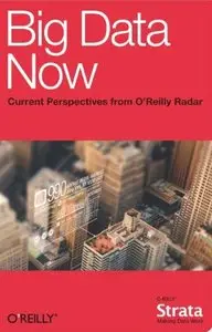 Big Data Now: Current Perspectives