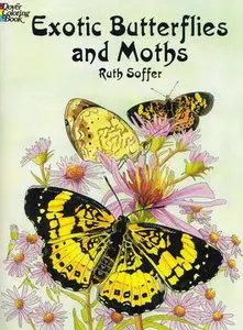 Exotic Butterflies and Moths (Dover Pictorial Archives)