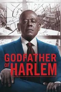 Godfather of Harlem S03E05