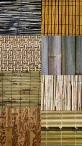 Bamboo Textures JPG