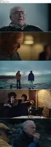 Land Ho! (2014)