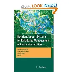 Decision Support Systems for Risk-Based Management of Contaminated Sites