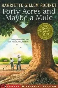 «Forty Acres and Maybe a Mule» by Harriette Gillem Robinet