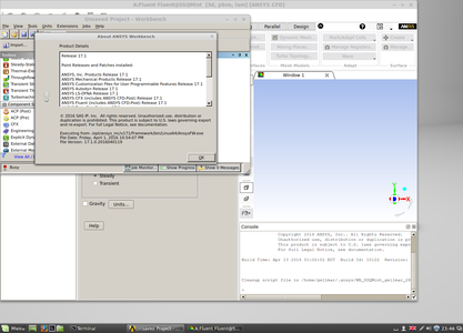 ANSYS Products 17.1 Linux